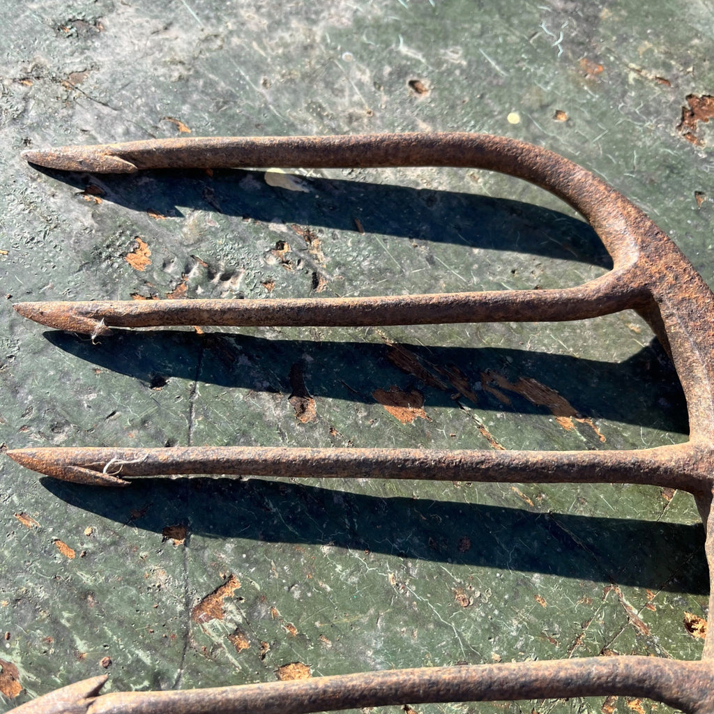 Vintage Hunting Fishing Spear 5-Point Tine Headed Tool