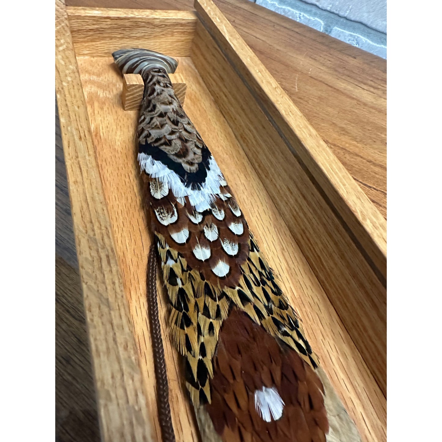 Genuine Real Pheasant Feather Necktie in Oak Box - White Pine Handcrafted