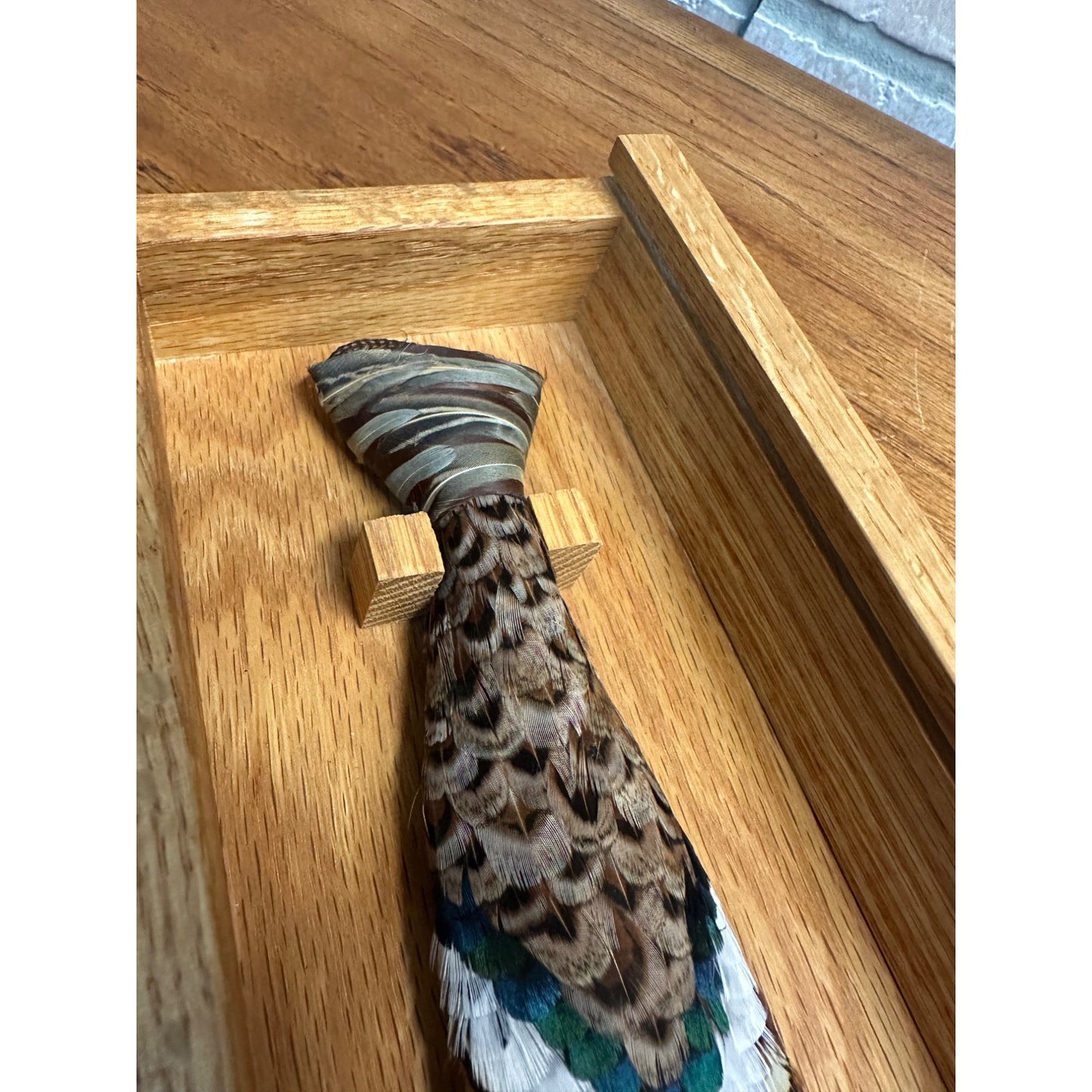 Genuine Real Pheasant Feather Necktie in Oak Box - White Pine Handcrafted