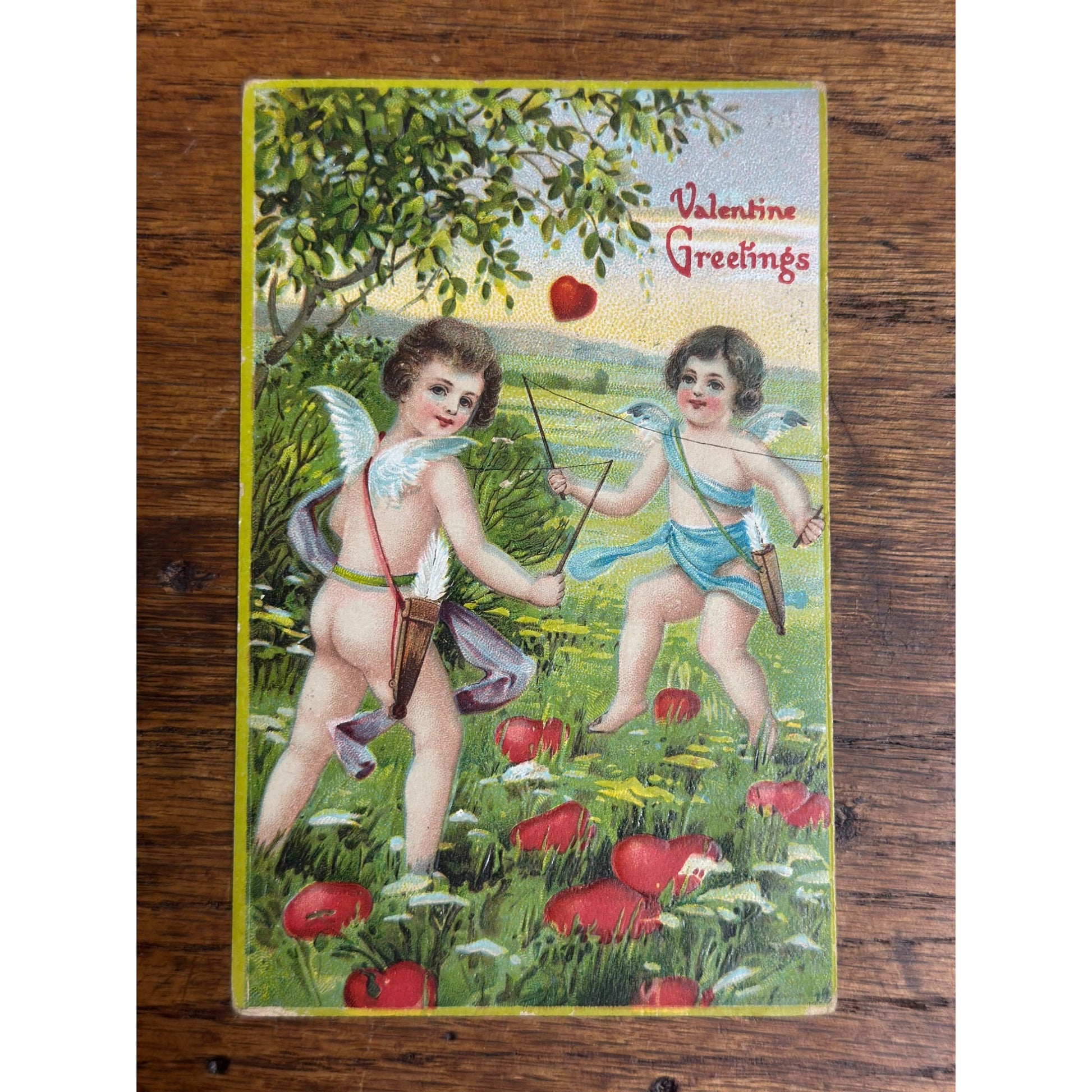 Valentine's Day Postcard Cupids Playing in Heart Field Valentine German 252