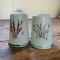 Buchan Thistle Serving  Scotland Stoneware Pottery Salt Pepper Shakers