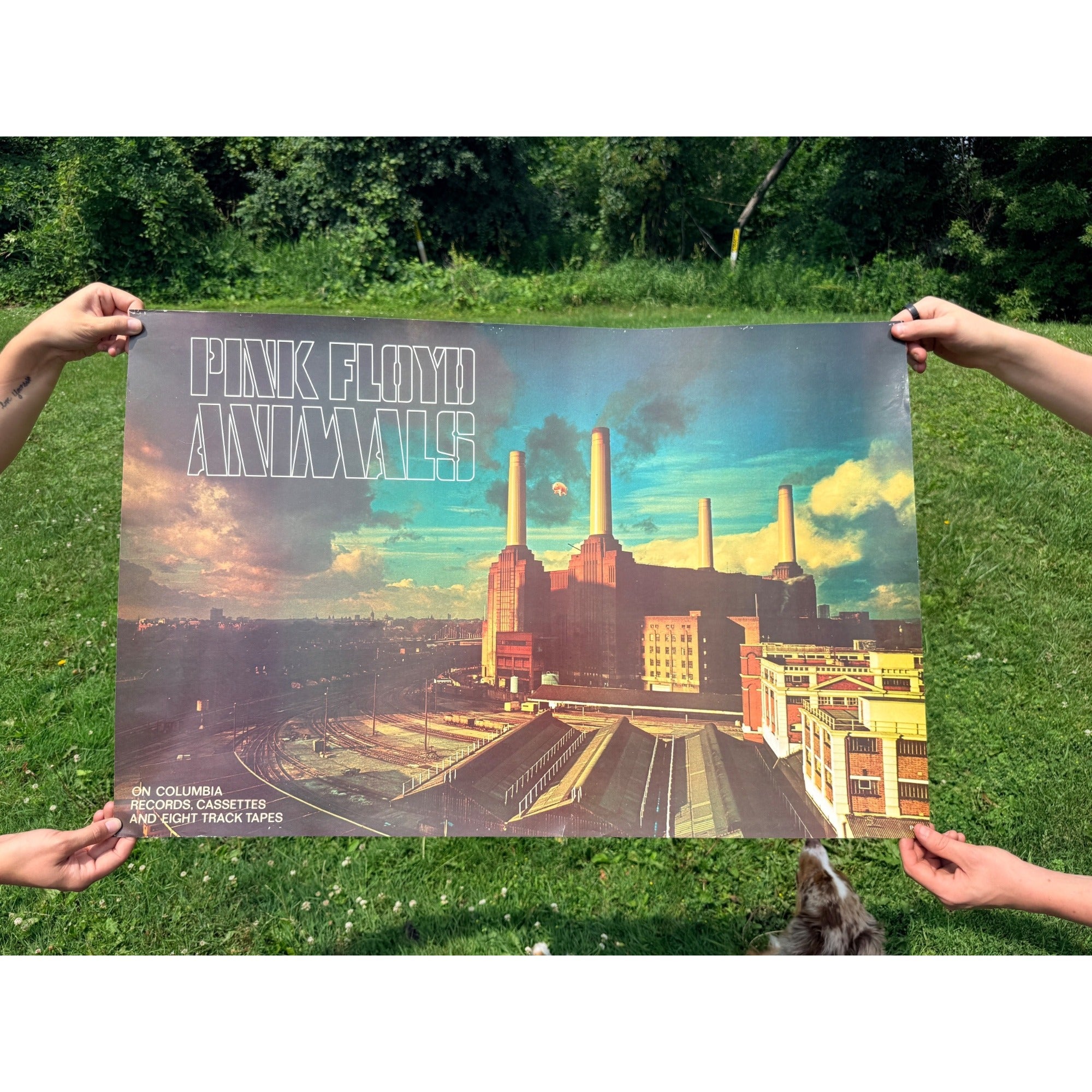Vintage Pink Floyd “Animals” Columbia Records Promotional Album Poster P-273