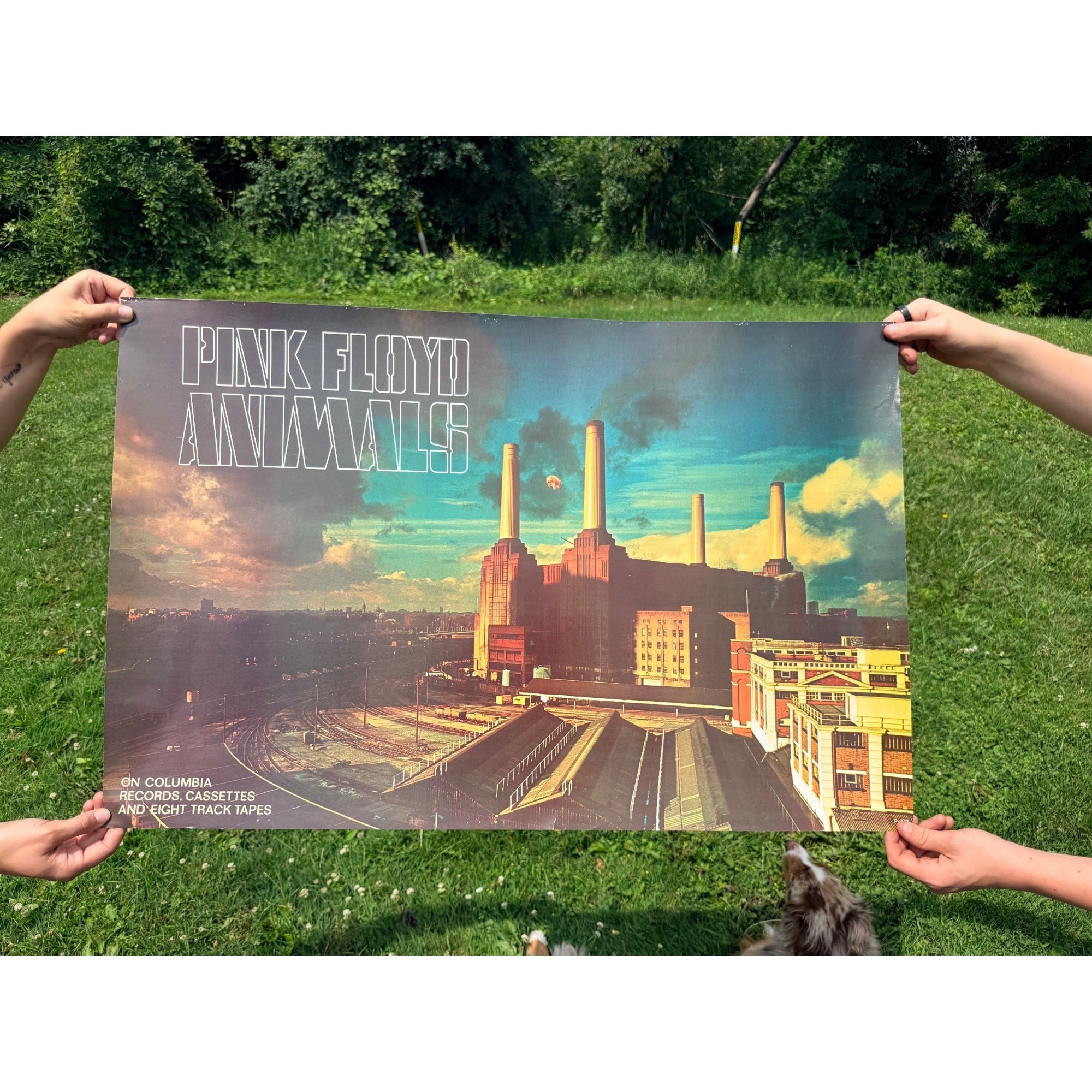Vintage Pink Floyd “Animals” Columbia Records Promotional Album Poster P-273