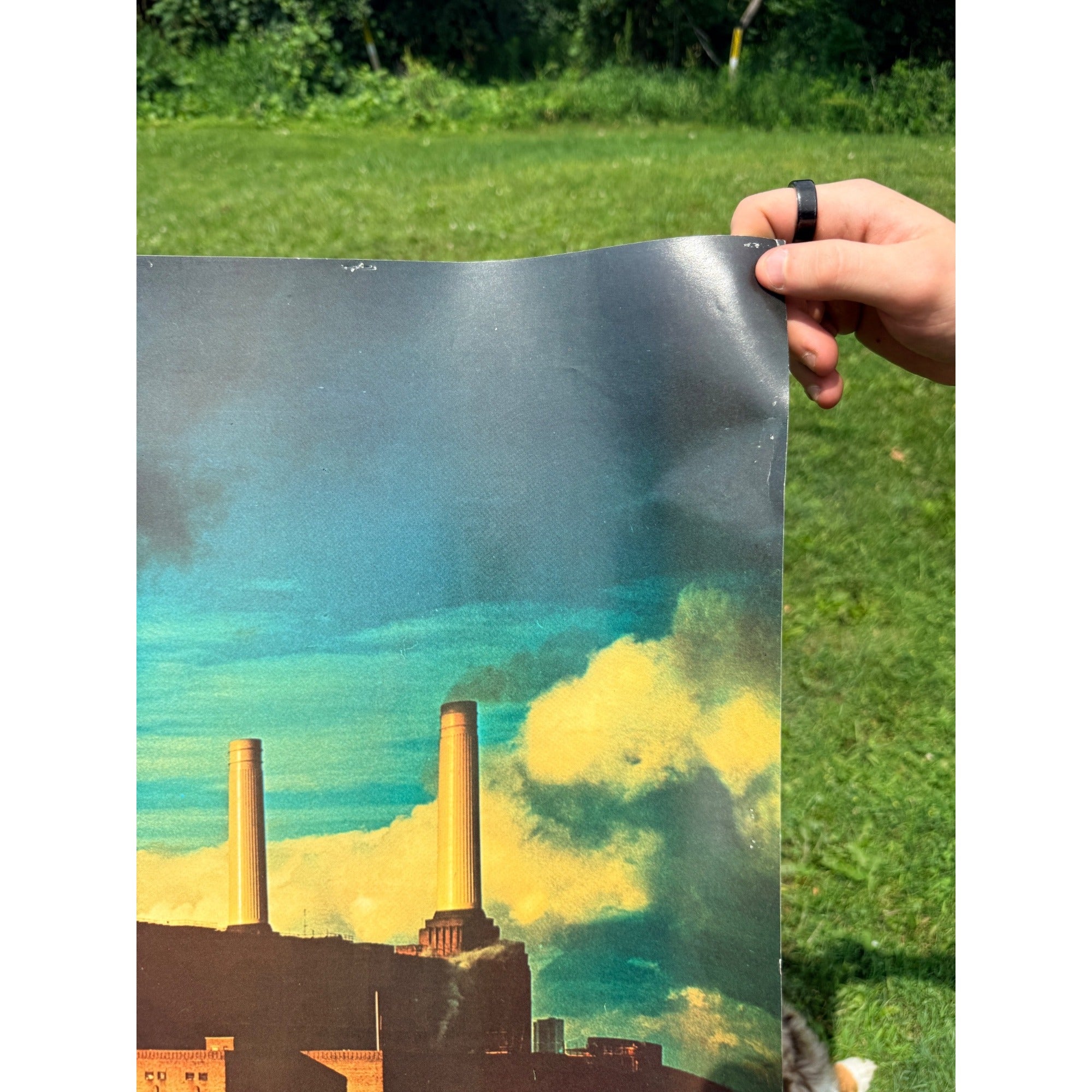 Vintage Pink Floyd “Animals” Columbia Records Promotional Album Poster P-273