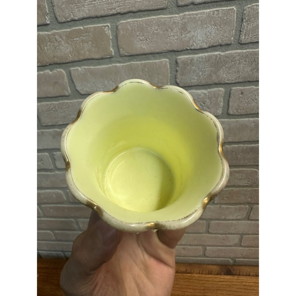 Vintage Uranium Souvenir Custard Glass Toothpick Holder Brownton MN