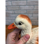 RARE Vintage 1940s Noma Walky Ducky Child's Pull Toy Composition - Original Box