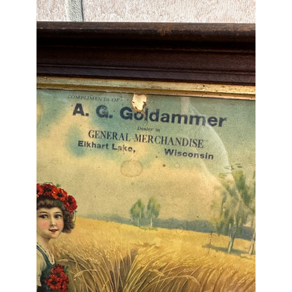 Antique c1890s Goldammer General Store (Elkhart Lake Wis) Victorian Litho Sign