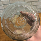 (3) Product of EEC Flower Bulb Forcing Starter Vase Clear