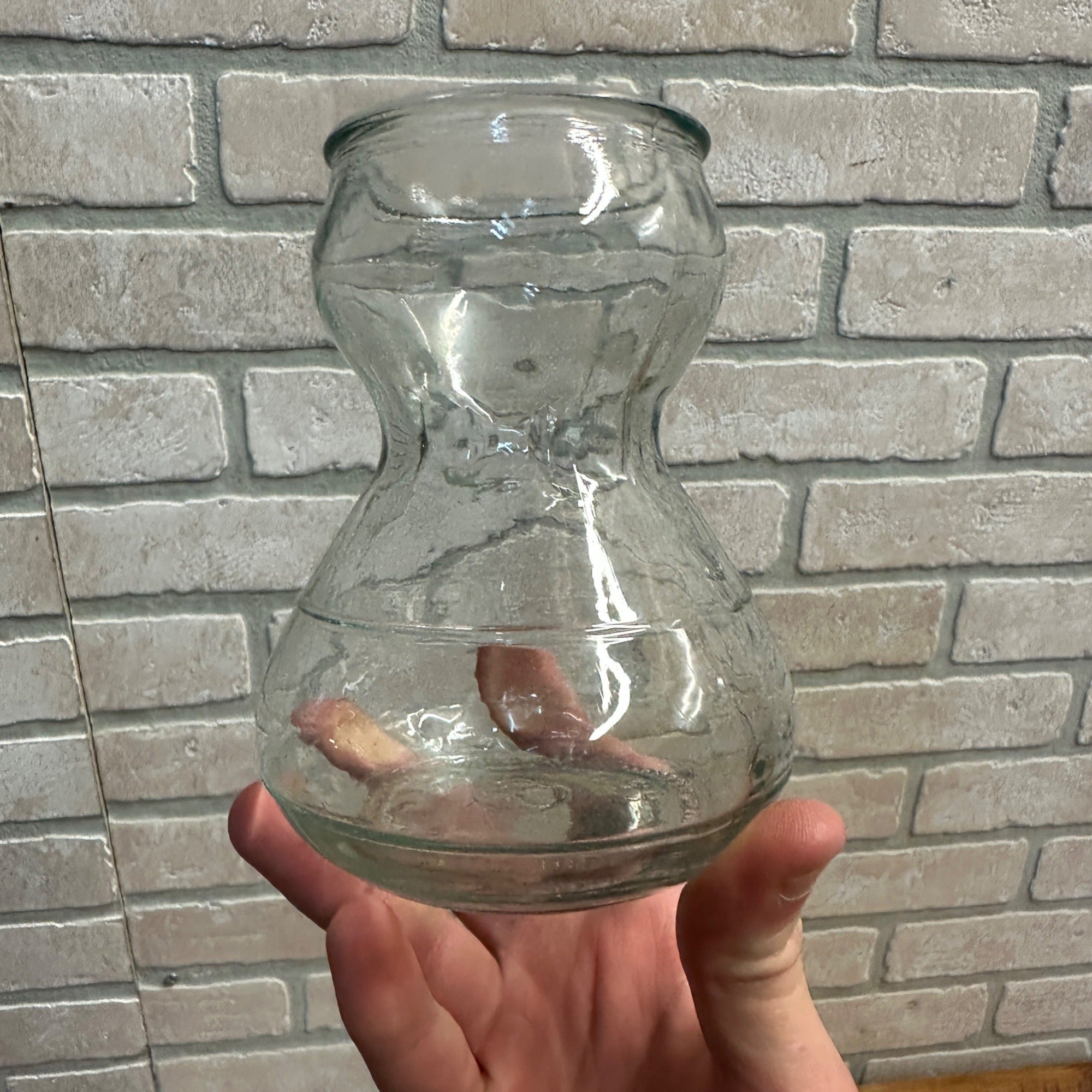 (3) Product of EEC Flower Bulb Forcing Starter Vase Clear