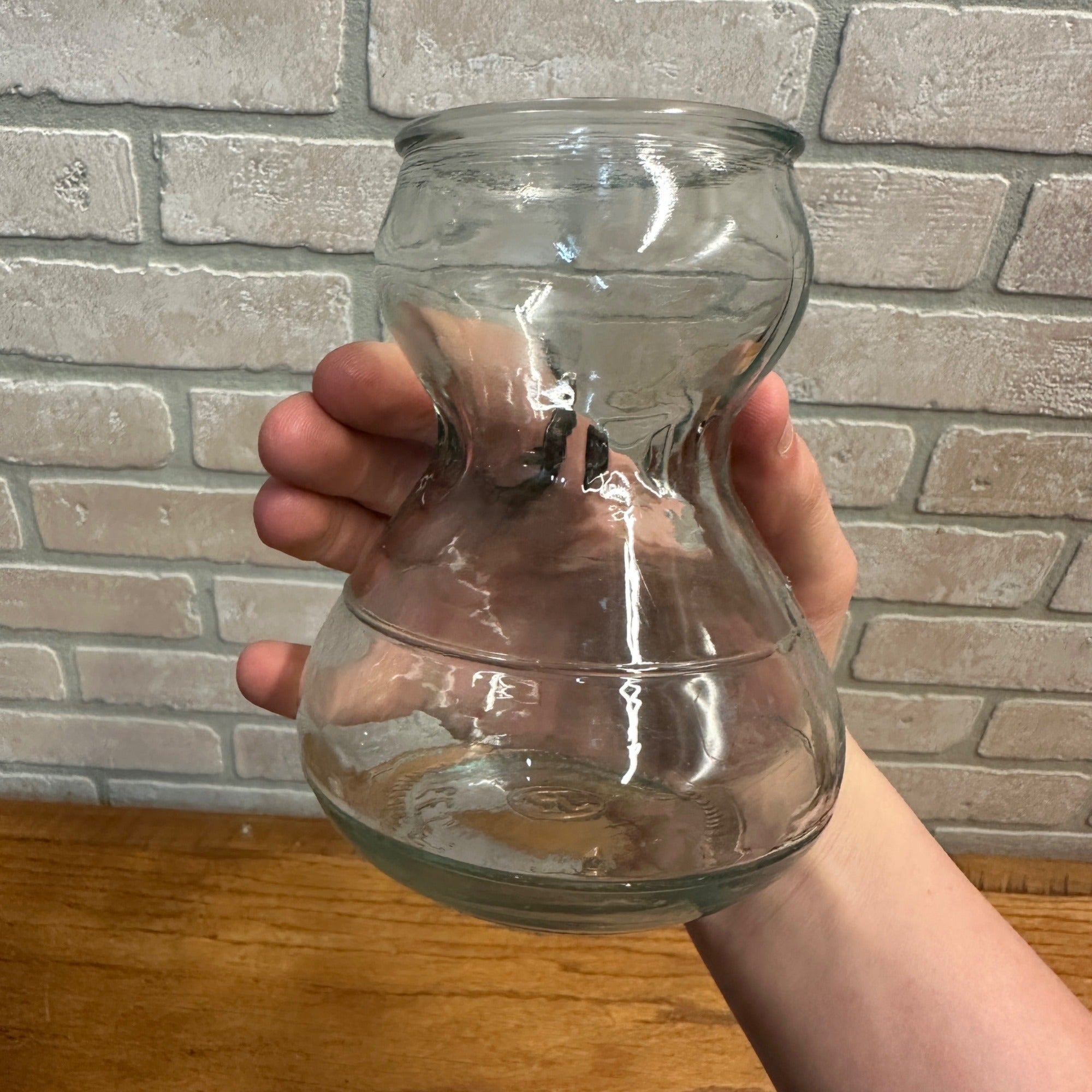 (3) Product of EEC Flower Bulb Forcing Starter Vase Clear