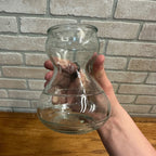 (3) Product of EEC Flower Bulb Forcing Starter Vase Clear