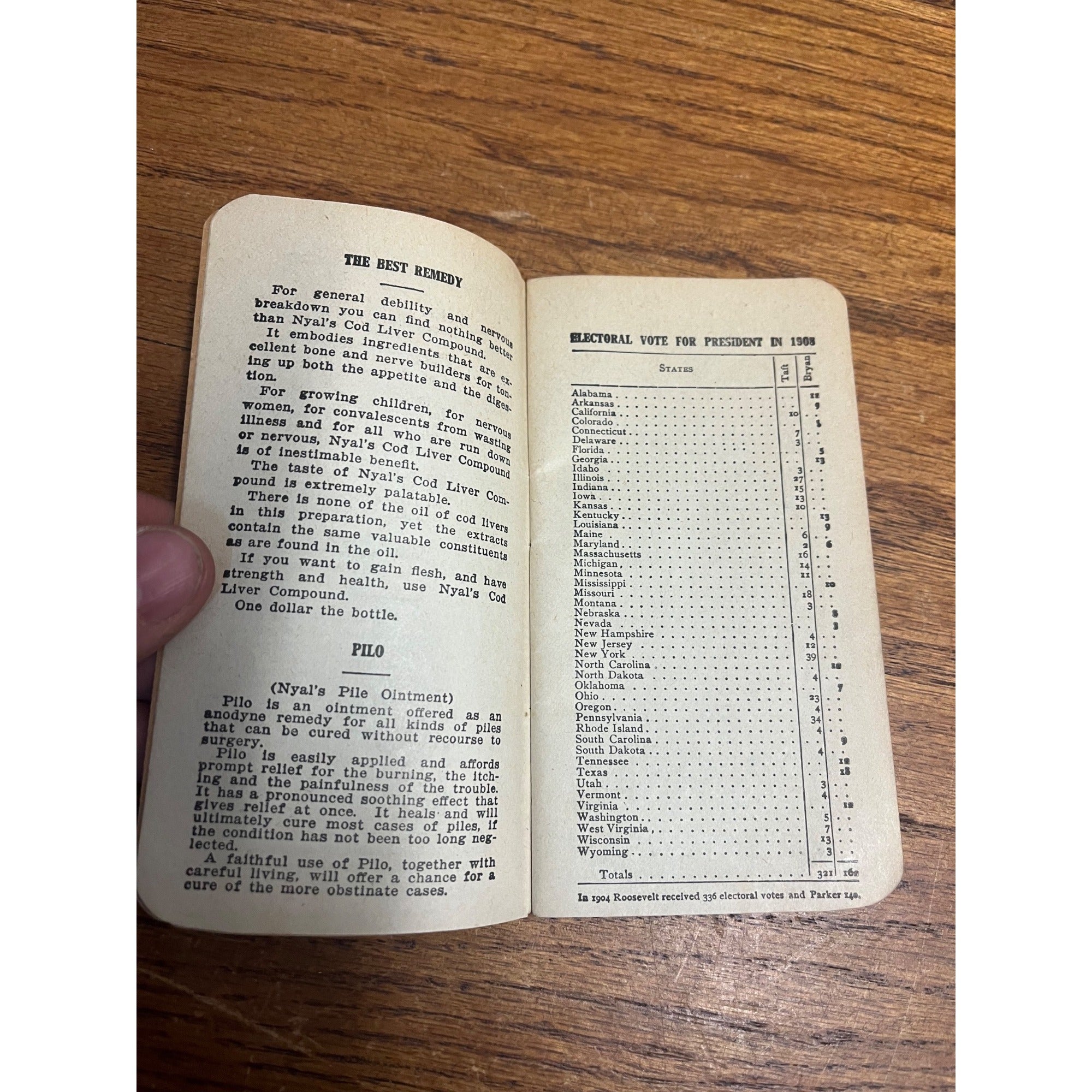 Vintage c1904 Nyals Remedies Memo Book Advertising Dale Wisconsin Druggist