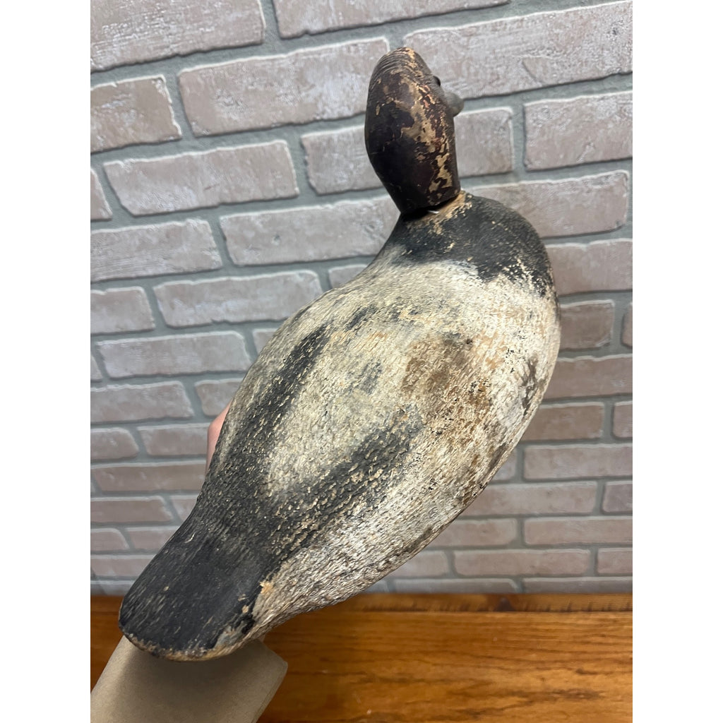 Vintage Wooden Canvasback Duck Decoy Wisconsin Find