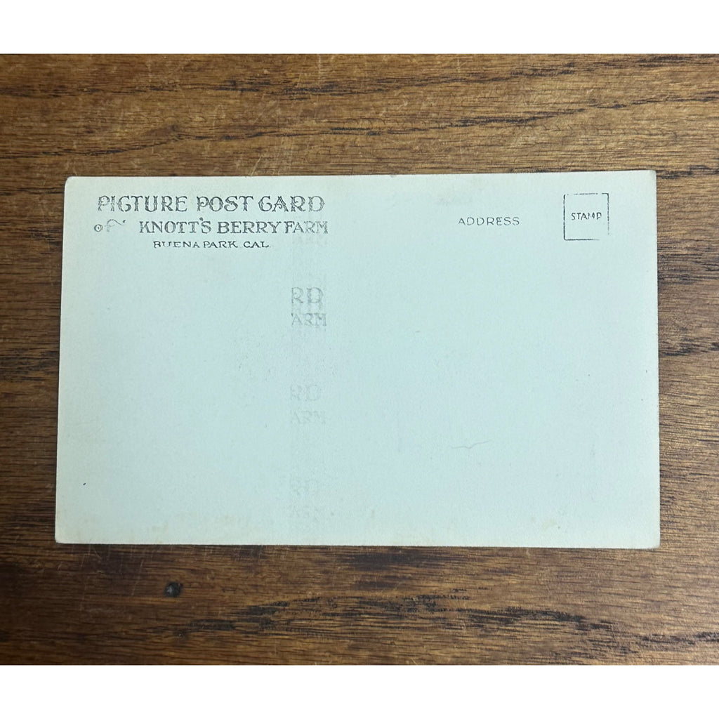 Vintage Postcard RPPC Knott's Berry Farm Ghost Town Buena Park CA Main St