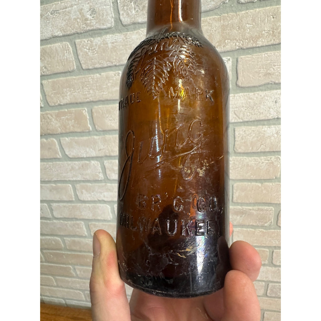 Pre-Pro Jung Brewing Co. Milwaukee Amber Brown Beer Bottles WI Wis