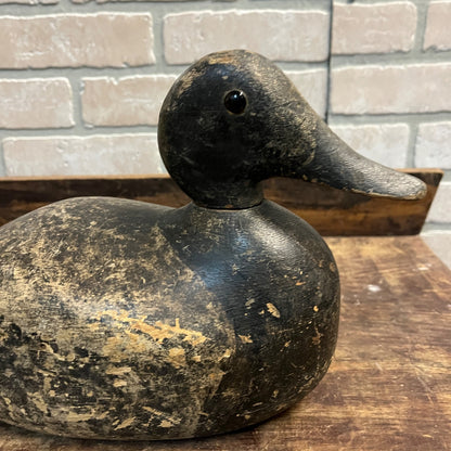 Vintage Humpback Bluebill Duck Decoy Hunting Bird