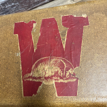 Vintage 1920s-1940s Wisconsin Badgers Madison Decal on Suitcase