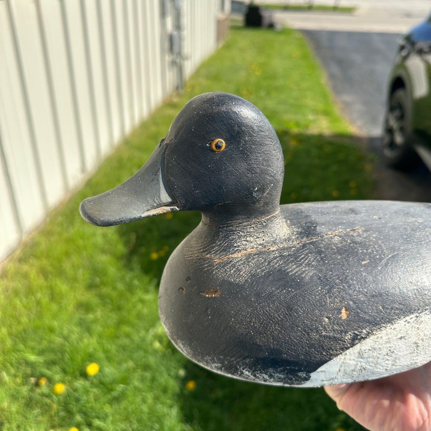 Vintage Original Paint Bluebill Duck Decoy Broad Blue Bill Wooden