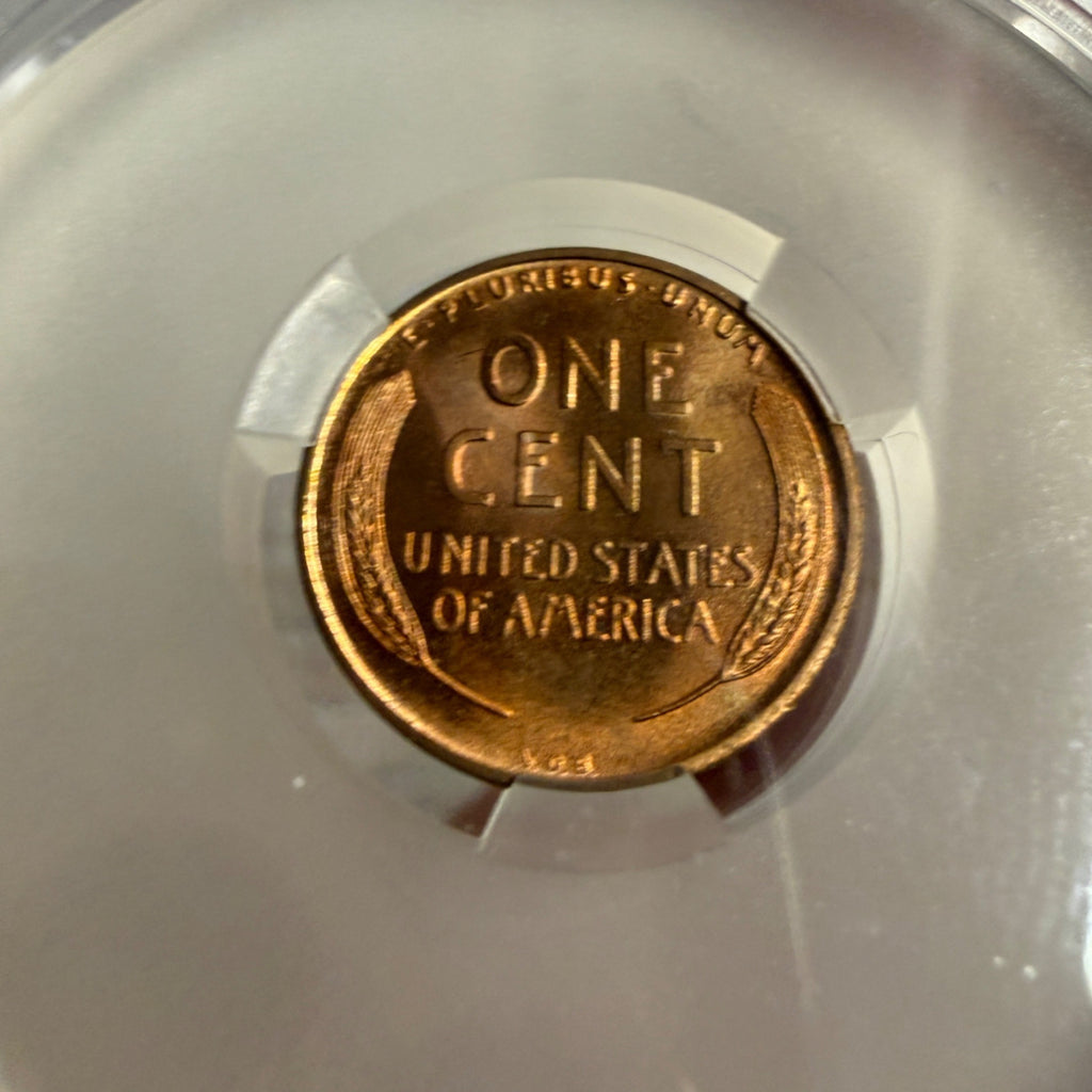 1909 VDB 1C CAC MS65RD - Lincoln Cent (Wheat Reverse) - Popular VDB Witterbrick