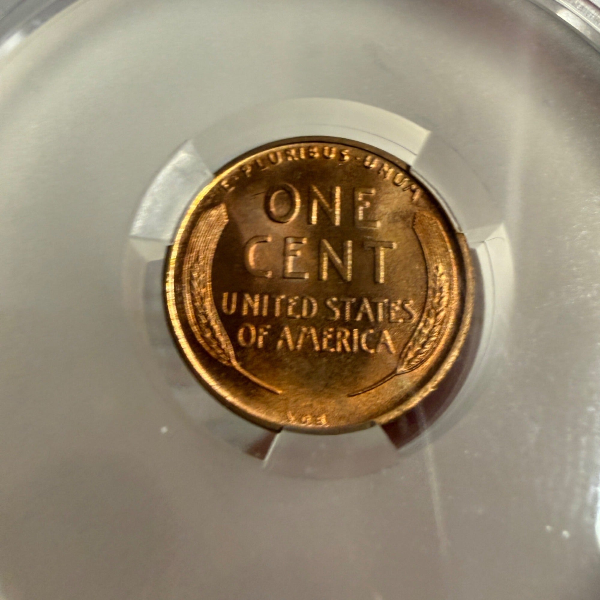 1909 VDB 1C CAC MS65RD - Lincoln Cent (Wheat Reverse) - Popular VDB Witterbrick