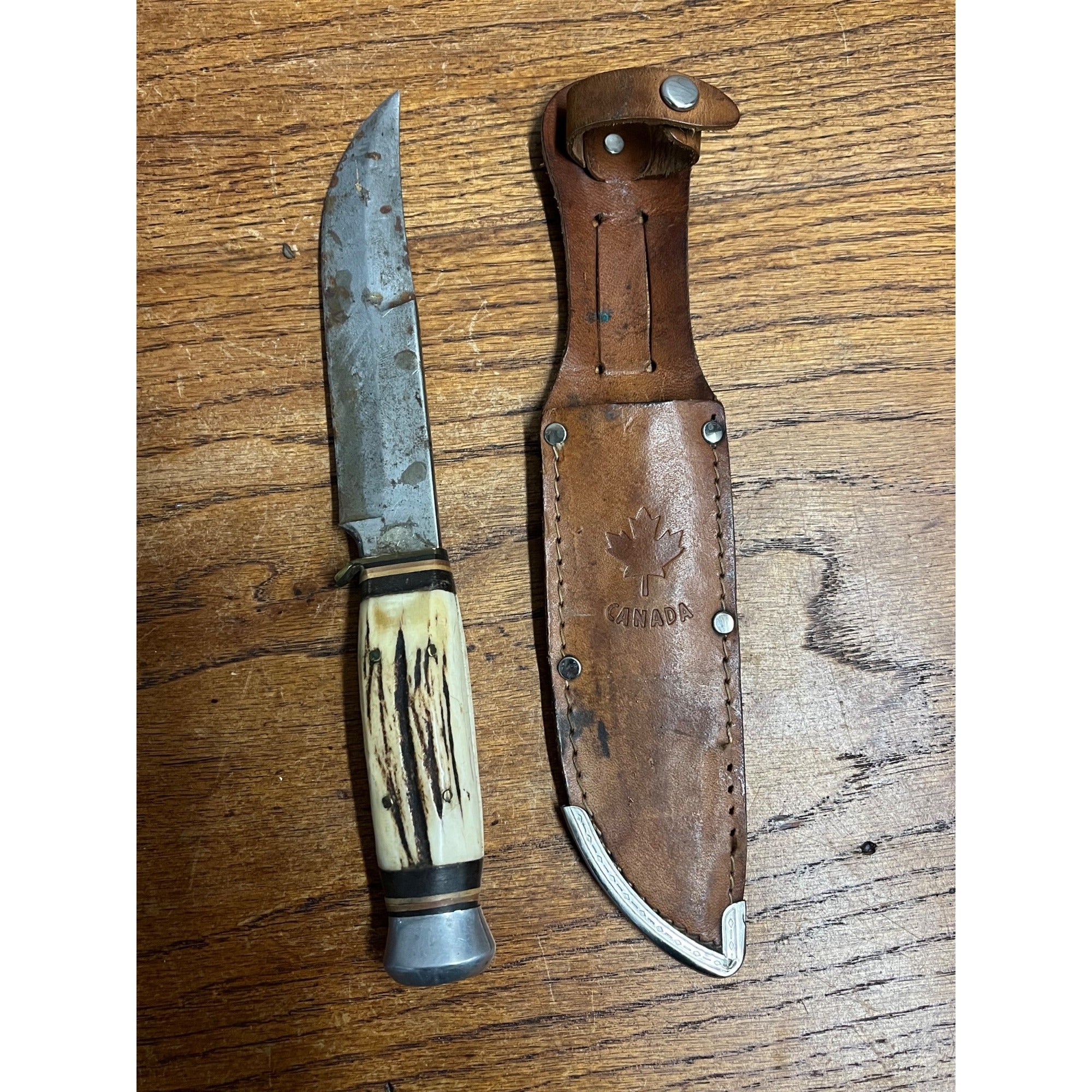 Sabre Monarch 141 Fixed Blade Hunting Knife - Solingen Germany - w/Sheath -