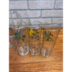 Vintage West Virginia Glass Co. Water Pitcher and Glasses with Song Birds 7pc Set