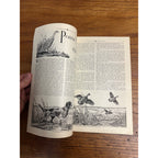 Vintage Outdoor Life Magazine (October 1932) Hunting Fishing Sportsman Ads