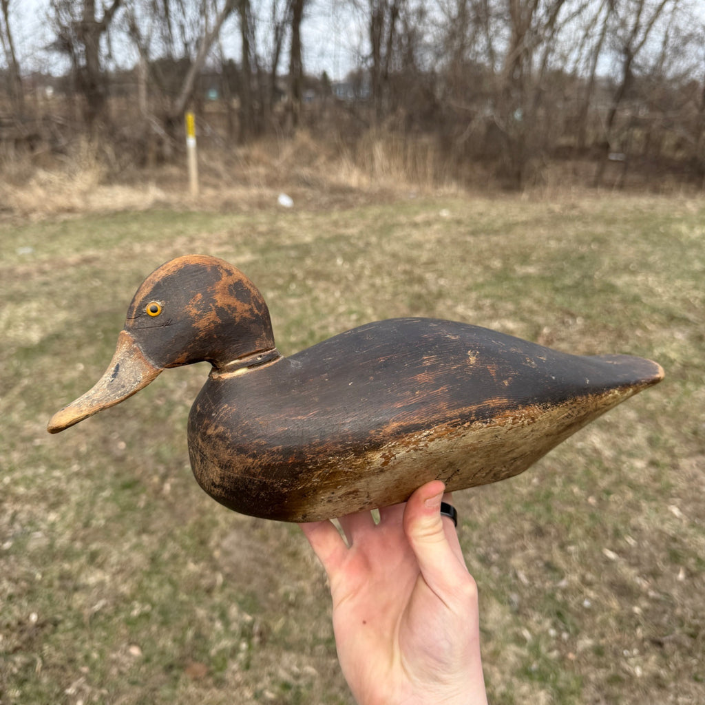 1870s DeWitt Wakefield Redhead Duck Decoy Scarce Original Paint