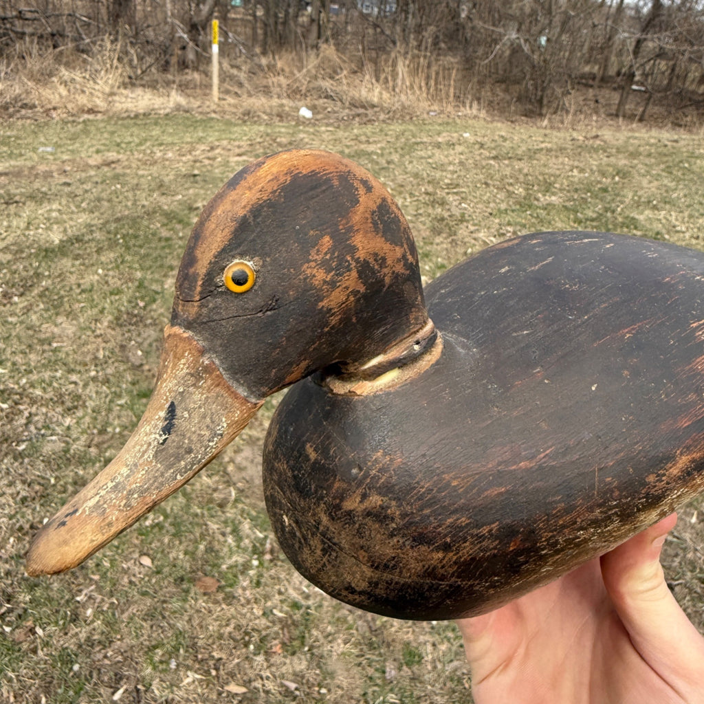 1870s DeWitt Wakefield Redhead Duck Decoy Scarce Original Paint