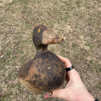 1870s DeWitt Wakefield Redhead Duck Decoy Scarce Original Paint