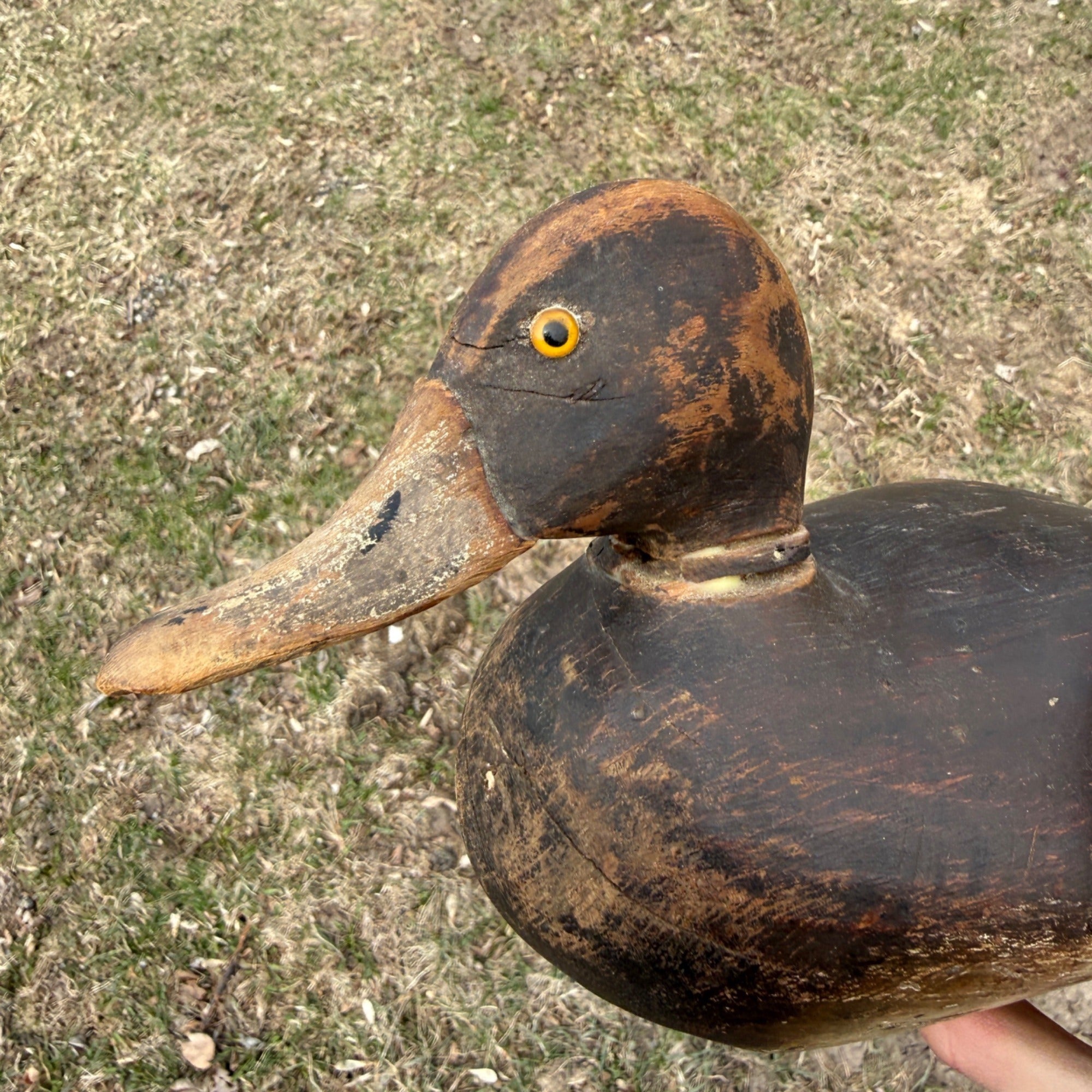 1870s DeWitt Wakefield Redhead Duck Decoy Scarce Original Paint