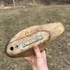 1870s DeWitt Wakefield Redhead Duck Decoy Scarce Original Paint
