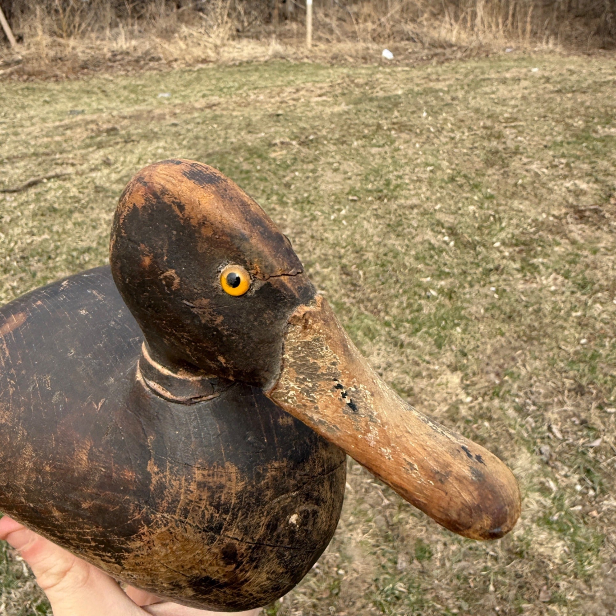 1870s DeWitt Wakefield Redhead Duck Decoy Scarce Original Paint