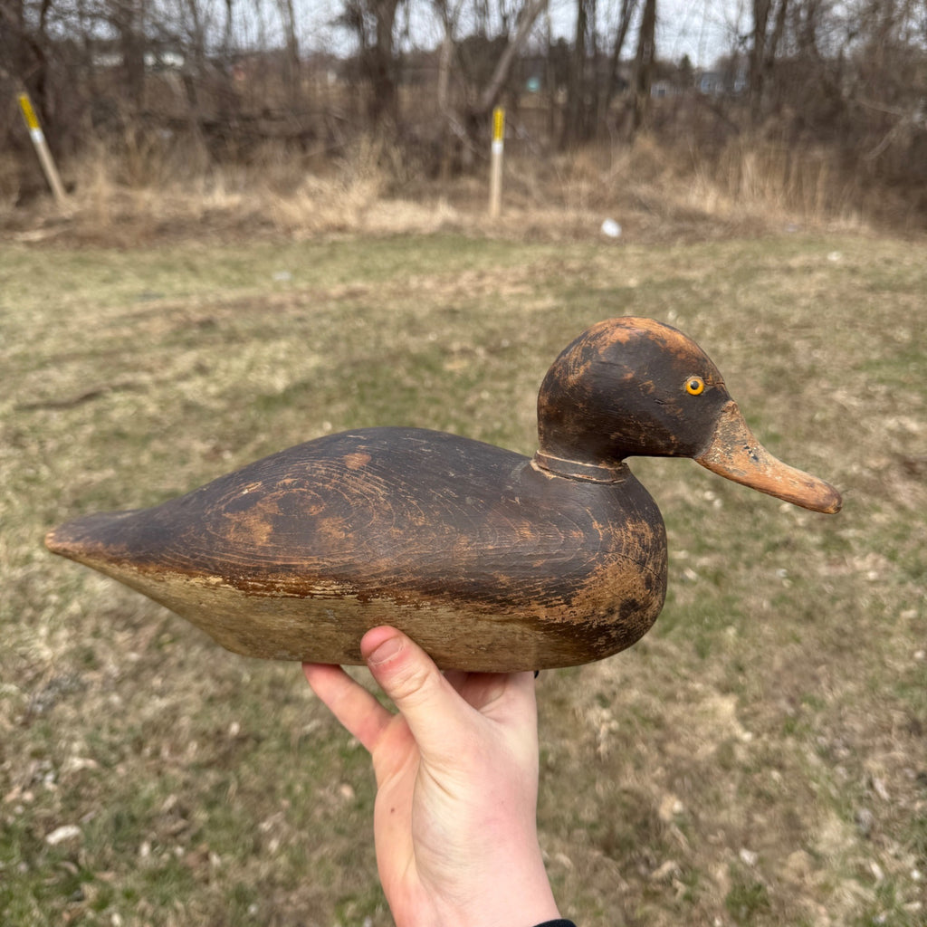 1870s DeWitt Wakefield Redhead Duck Decoy Scarce Original Paint