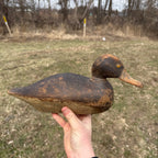 1870s DeWitt Wakefield Redhead Duck Decoy Scarce Original Paint