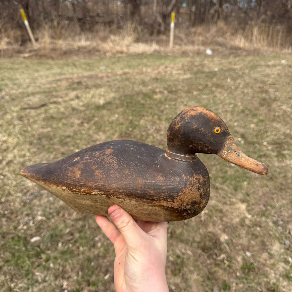 1870s DeWitt Wakefield Redhead Duck Decoy Scarce Original Paint