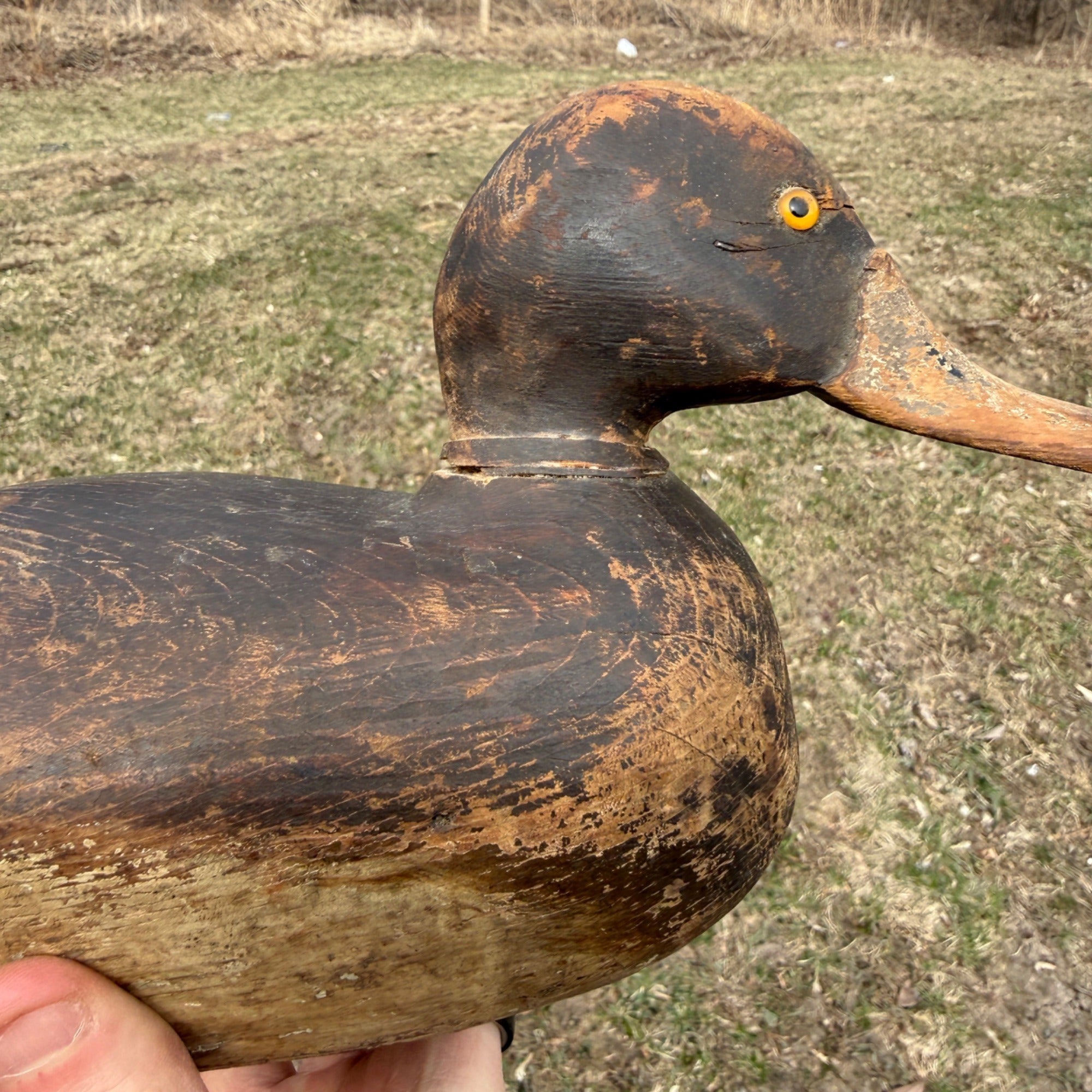 1870s DeWitt Wakefield Redhead Duck Decoy Scarce Original Paint
