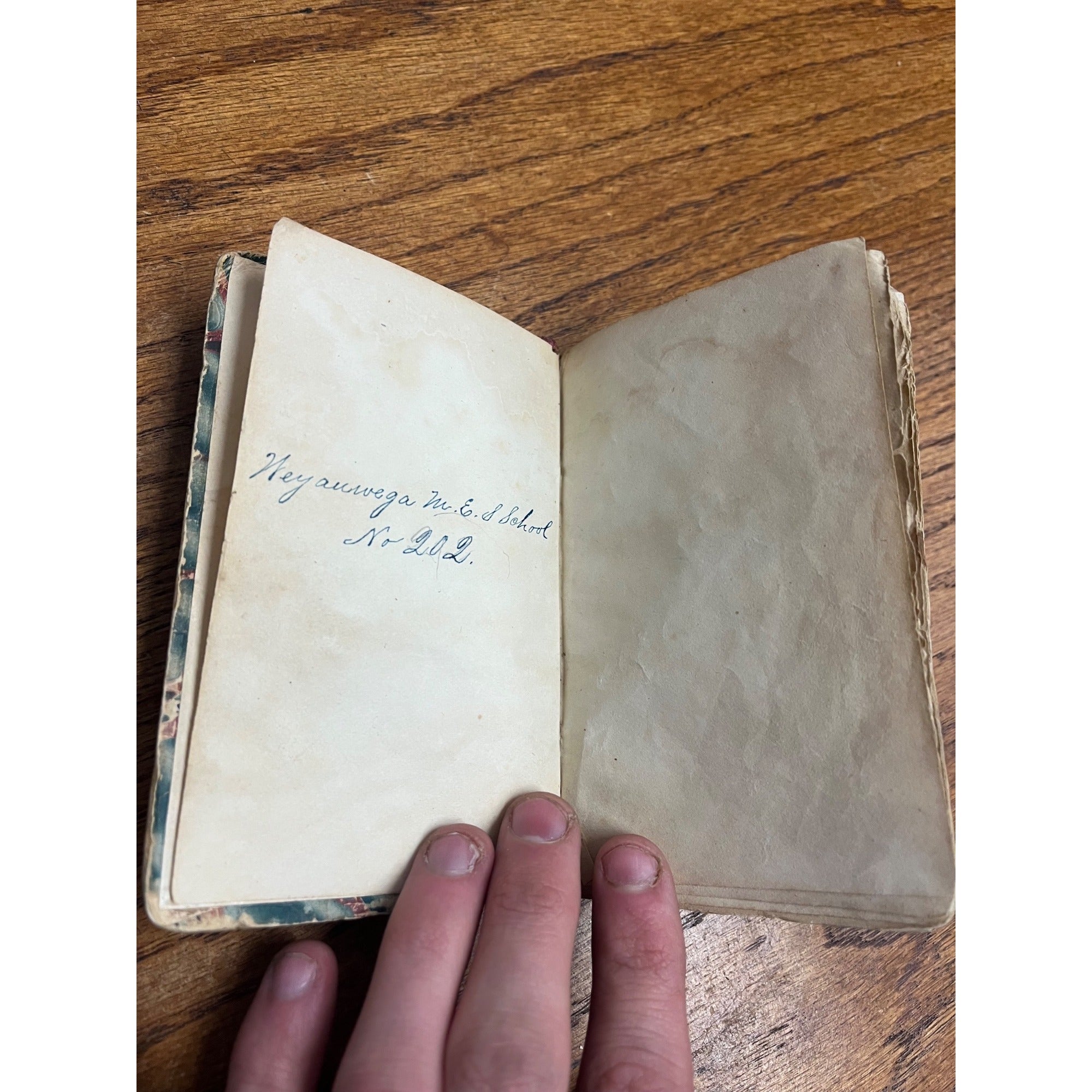 Martyrs of The South: A Brief Sketch of The Late Captain Allen F. Gardiner Book