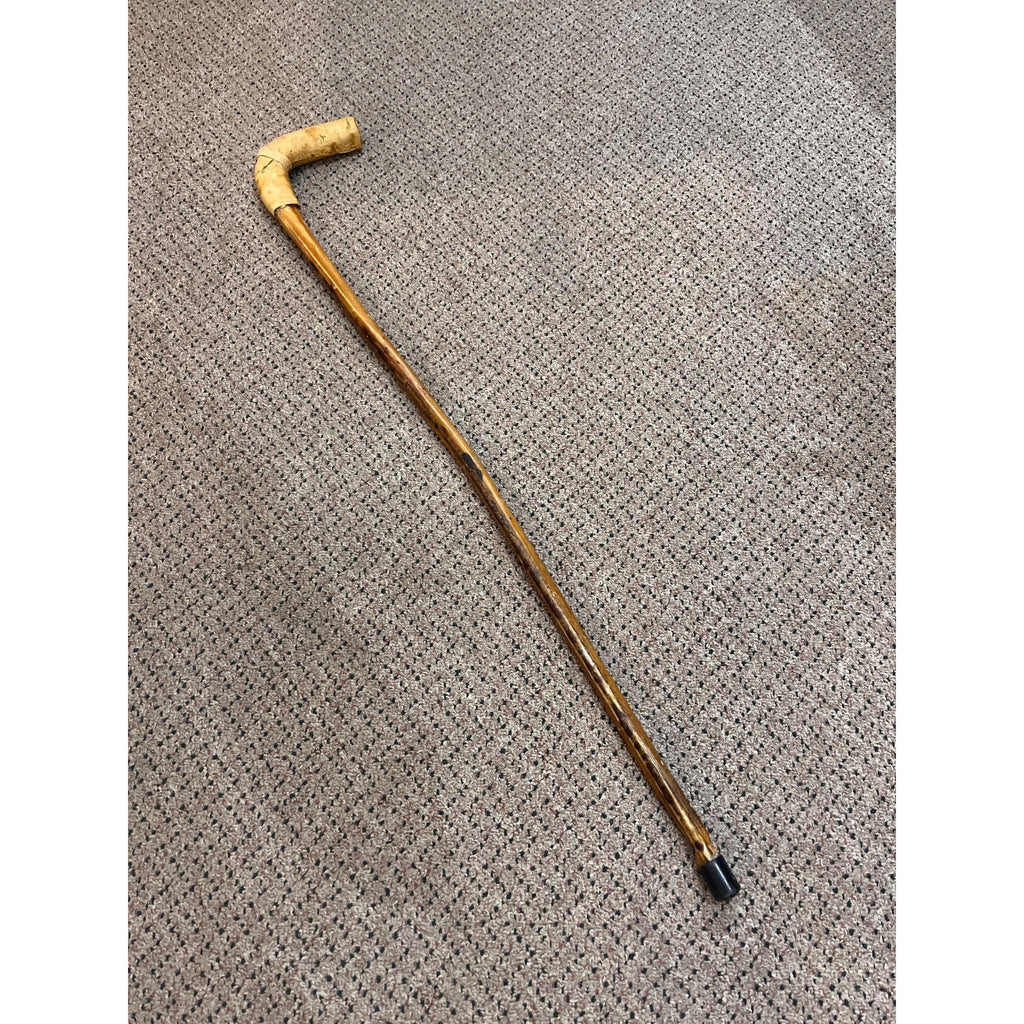 Original Bull Organ Walking Cane Genuine Real Organ Western Novelty