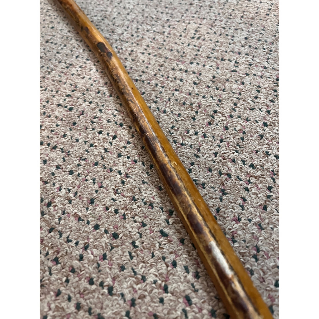 Original Bull Organ Walking Cane Genuine Real Organ Western Novelty