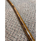 Original Bull Organ Walking Cane Genuine Real Organ Western Novelty