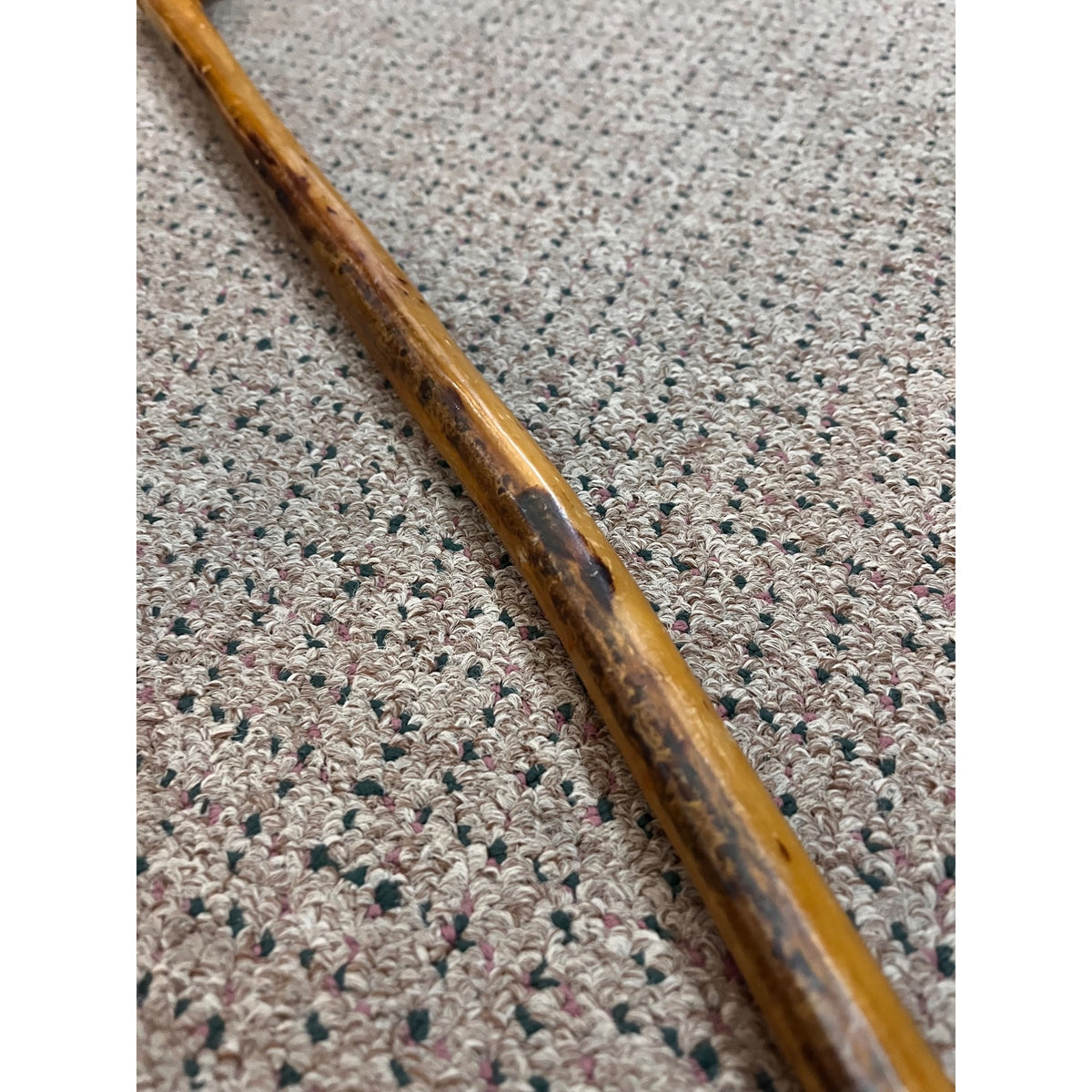 Original Bull Organ Walking Cane Genuine Real Organ Western Novelty