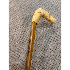 Original Bull Organ Walking Cane Genuine Real Organ Western Novelty