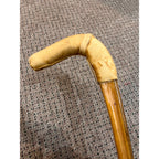 Original Bull Organ Walking Cane Genuine Real Organ Western Novelty