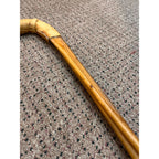Original Bull Organ Walking Cane Genuine Real Organ Western Novelty