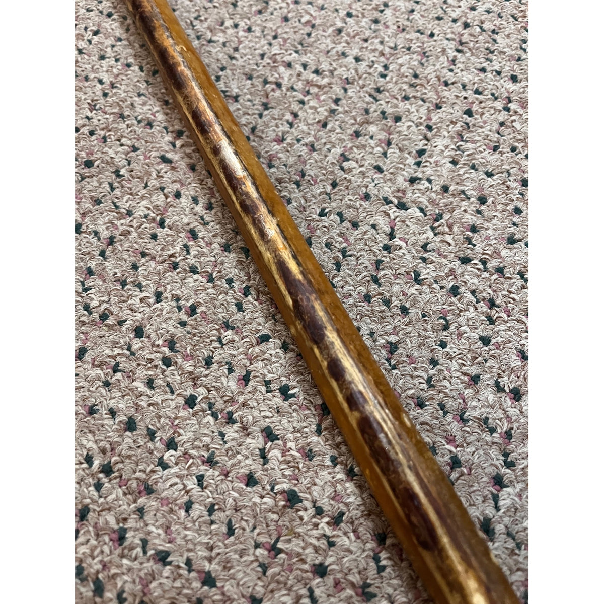 Original Bull Organ Walking Cane Genuine Real Organ Western Novelty