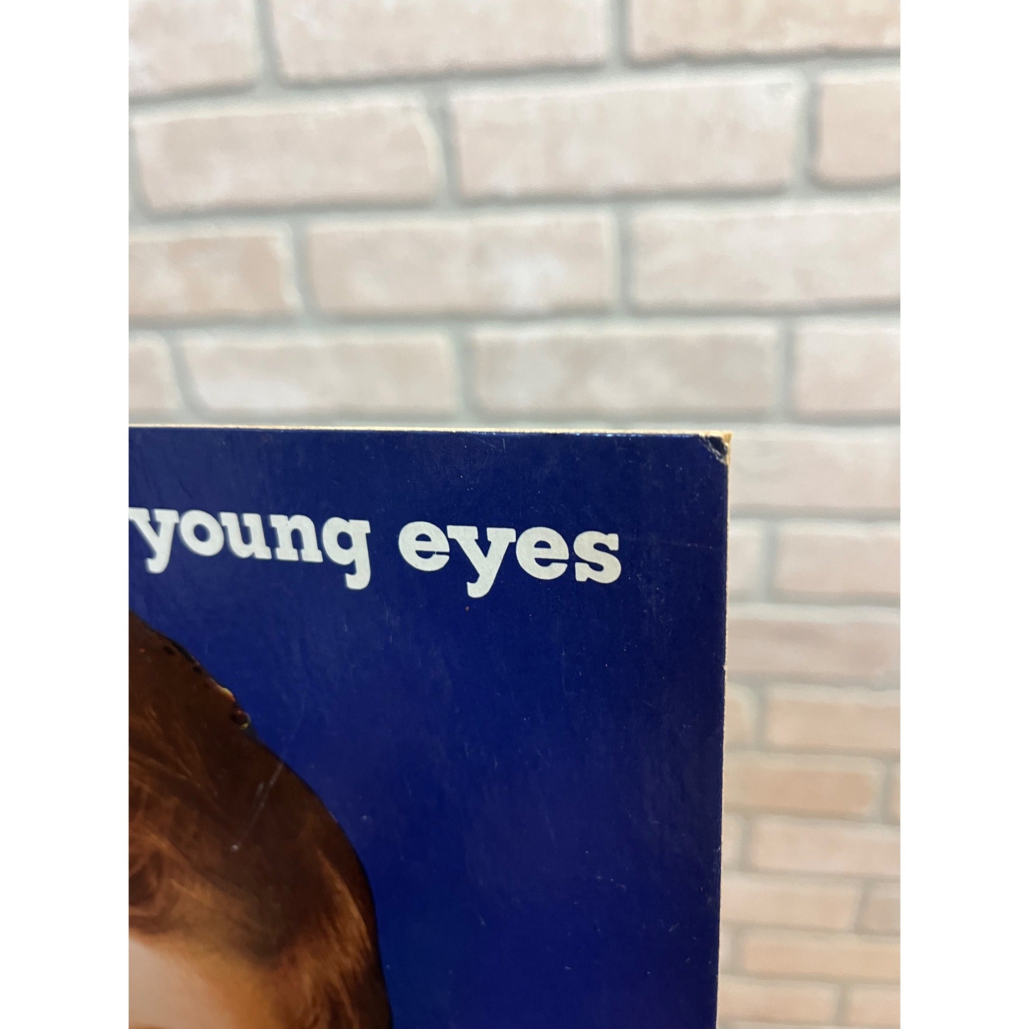 Vintage 1940s Westinghouse Mazda Lamps Bulbs Advertising Store Display Sign