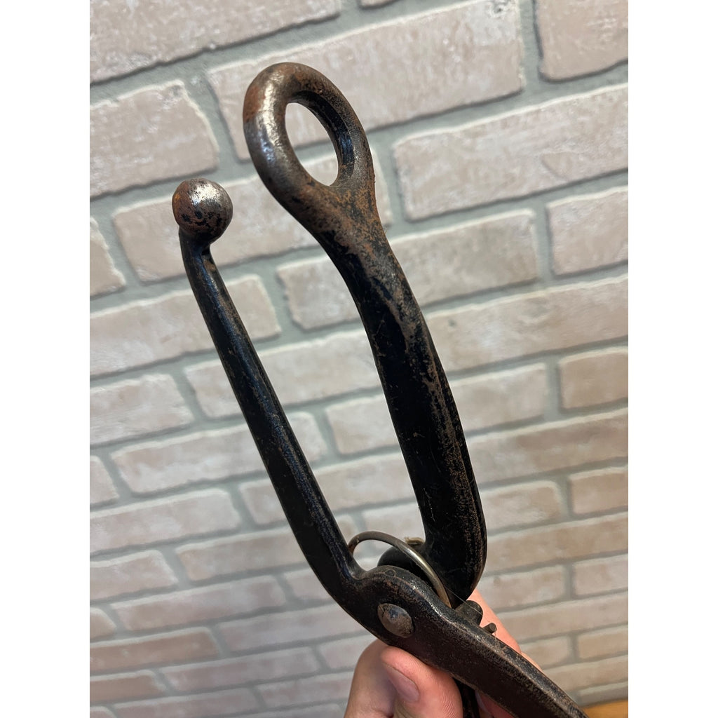Vintage Ball & Ring Shoe Stretcher (Bunion Fixer) Cast Steel Cobblers Tool 15.5”