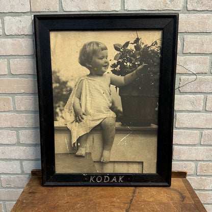 Antique 1900s Kodak Camera / Photo Framed Advertising Store Display Sign Child