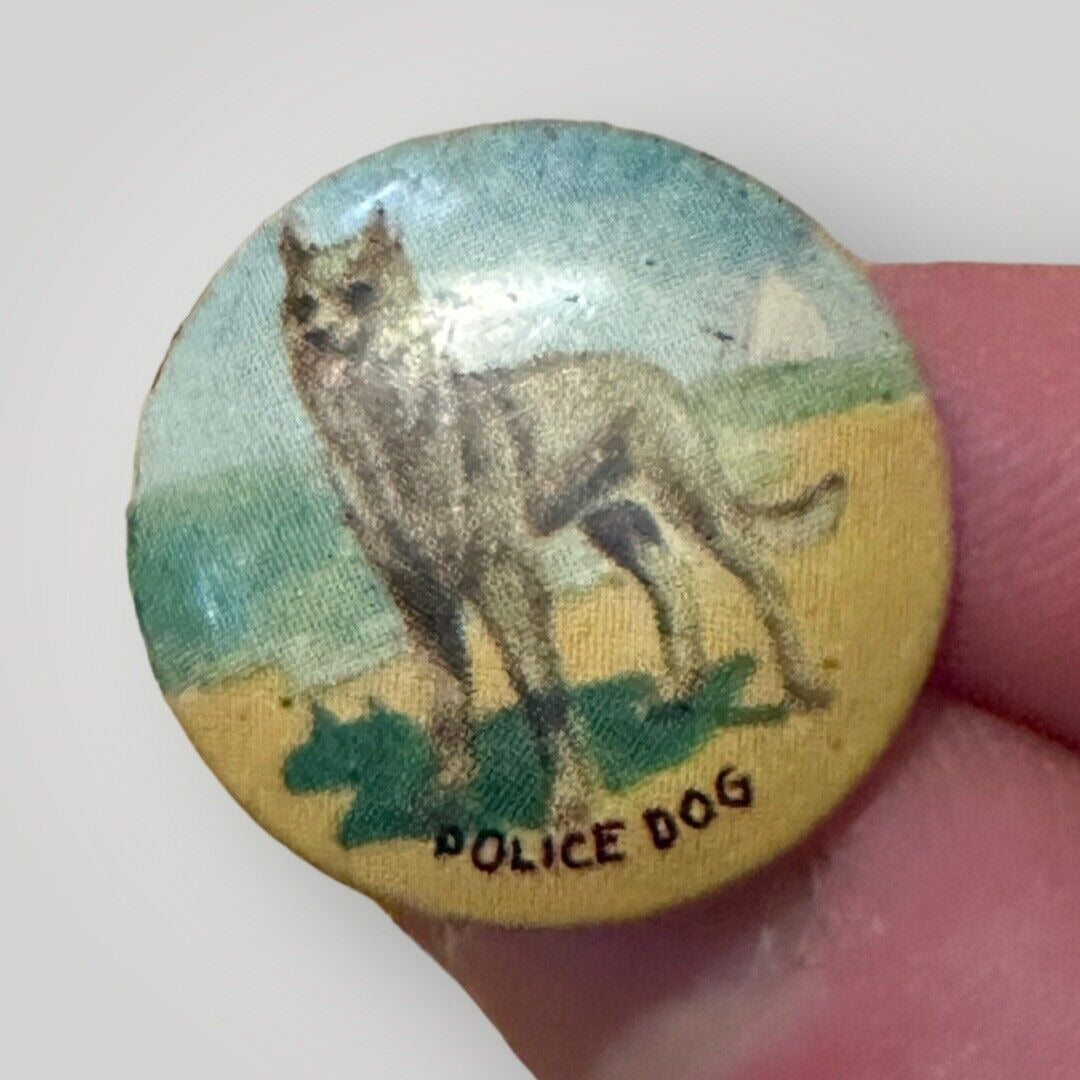 Antiqe Mini Police Dog Button Pin Pinback German Shepard